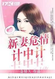 《新妻危情计中计》小说封面