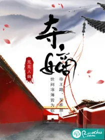 《夺嫡》小说封面