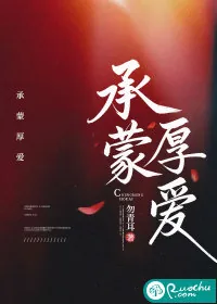 《承蒙厚爱》小说封面
