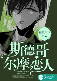 《斯德哥尔摩恋人》小说封面