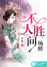 《不胜人间一场醉》小说封面