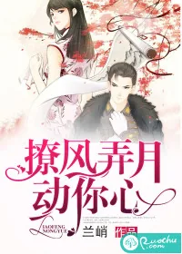 《撩风弄月动你心》小说封面