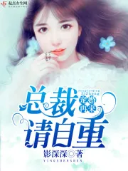 《宠婚再来，总裁请自重》小说封面