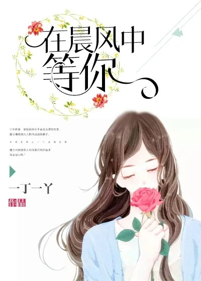 《在晨风中等你》小说封面