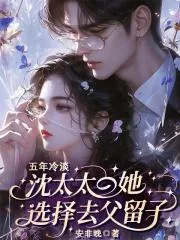 《五年冷淡，沈太太她选择去父留子》小说封面