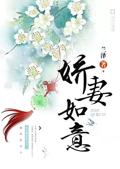 《娇妻如意》小说封面