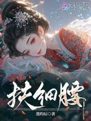 《扶细腰》小说封面