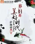 《弃妇的美好时代》小说封面