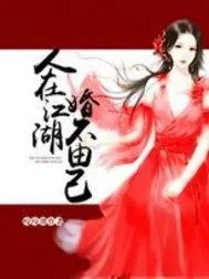 《人在江湖，婚不由己》小说封面