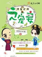 《清穿空间之宠妾》小说封面