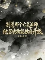 《别惹那个亡灵法师，他召唤物能独自升级》小说封面