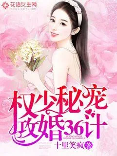 《权少秘宠：攻婚36计》小说封面