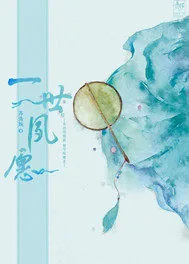 《清穿之一世夙愿》小说封面