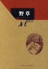 《野草》小说封面