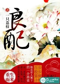 《良配》小说封面
