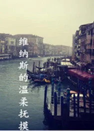 《维纳斯的温柔抚摸》小说封面