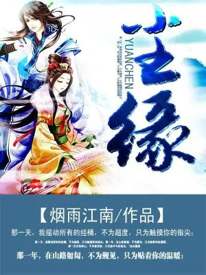 《尘缘（全集）》小说封面