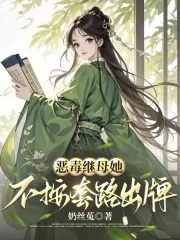 《恶毒继母她不按套路出牌》小说封面