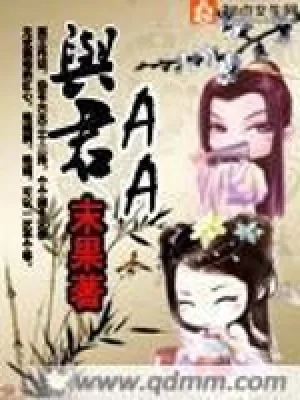 《与君AA》小说封面