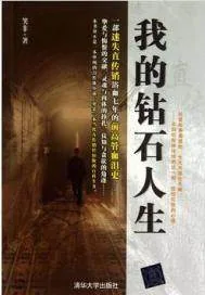 《我的钻石人生》小说封面