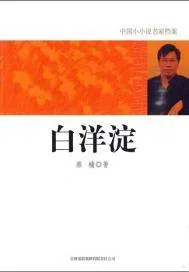 《白洋淀》小说封面