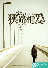 《狭路相爱》小说封面