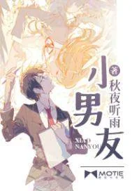 《小男友》小说封面