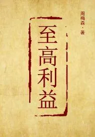 《至高利益》小说封面
