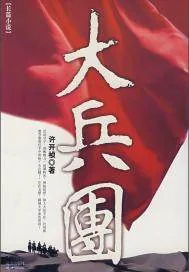 《大兵团》小说封面