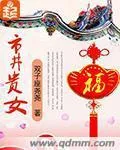 《市井贵女》小说封面