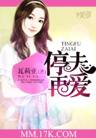 《停夫再爱》小说封面