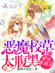 《恶魔校草太腹黑：少爷，求放过》小说封面