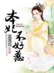 《本妃不好惹》小说封面