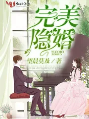 《完美隐婚》小说封面