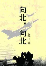 《向北，向北》小说封面