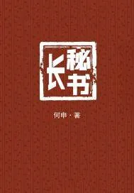 《秘书长》小说封面