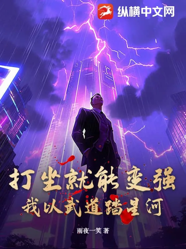 《打坐就能变强，我以武道踏星河》小说封面