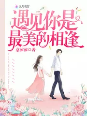 《遇见你是最美的相逢》小说封面
