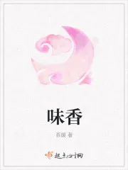 《味香》小说封面