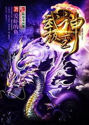 《武极神王》小说封面
