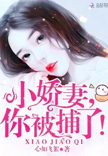 《小娇妻，你被捕了！》小说封面