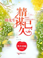 《韩先生,情谋已久》小说封面