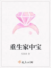 《重生家中宝》小说封面