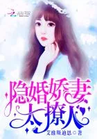《隐婚娇妻，太撩人！》小说封面