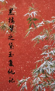 《黑楼梦之黛玉复仇记》小说封面