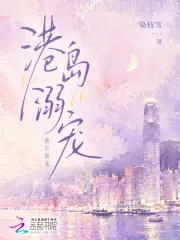 《港岛溺宠》小说封面