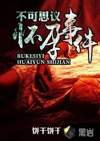 《不可思议怀孕事件》小说封面