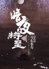 《暗夜将至》小说封面