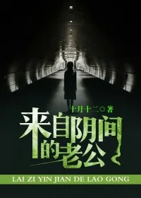 《来自阴间的老公》小说封面