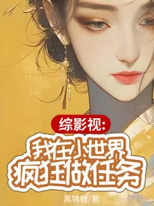 《综影视：我在小世界疯狂做任务》小说封面